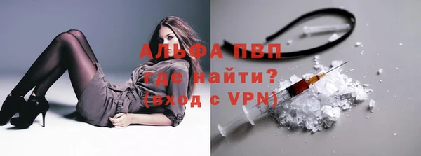 спиды Медвежьегорск