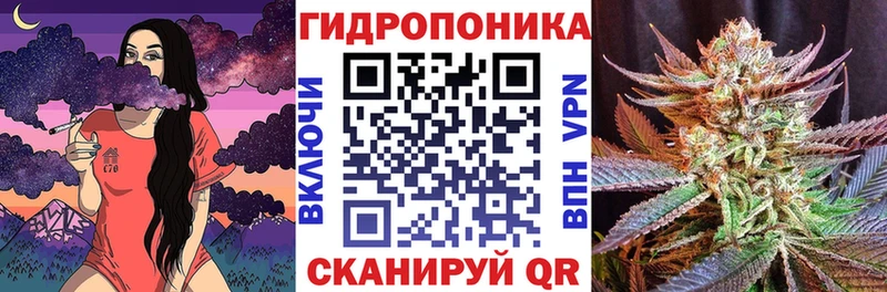 купить наркоту  Киров  Конопля Bruce Banner 